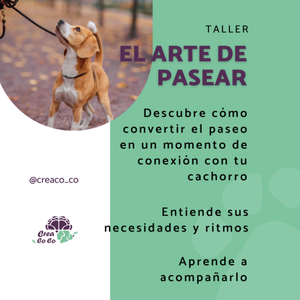 Taller EL ARTE DE PASEAR