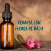 Consulta terapia floral