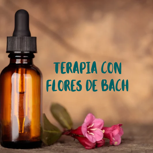 Consulta terapia floral