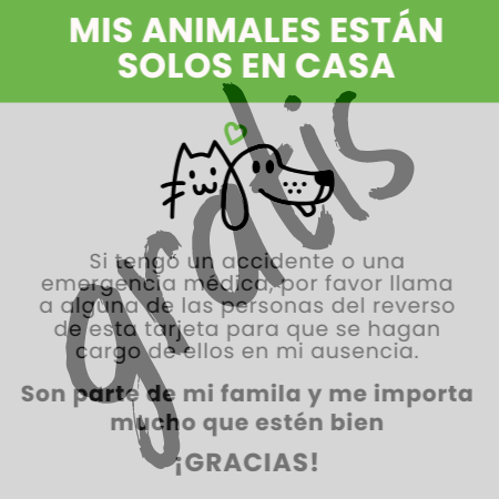Tarjeta "animales solos en casa"